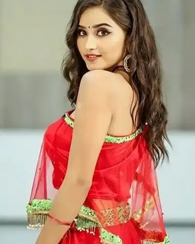 Call Girls Service Usilampatti